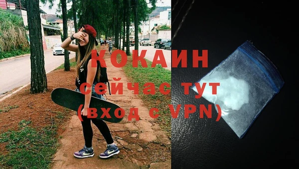a pvp Новодвинск