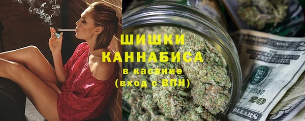 тгк Новозыбков
