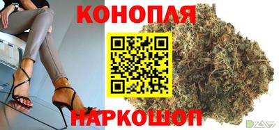 молекула духа Донской