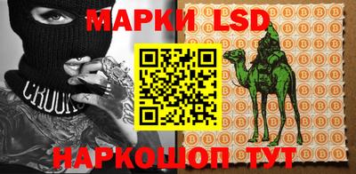молекула духа Донской