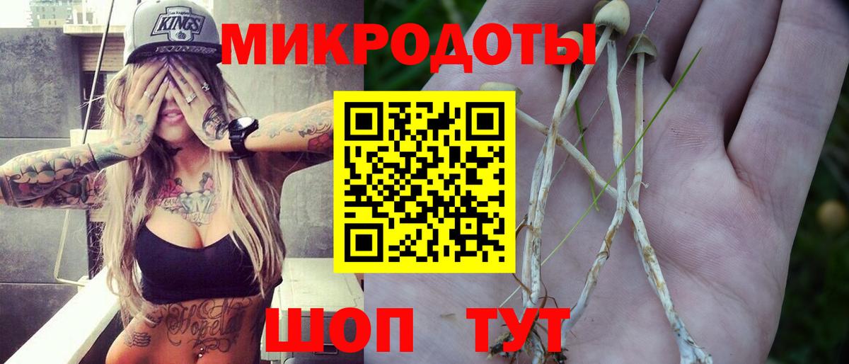 Псилоцибиновые грибы Psilocybe  Вход с VPN  Тобольск 
